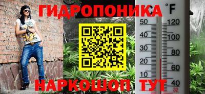 бошки Новокубанск