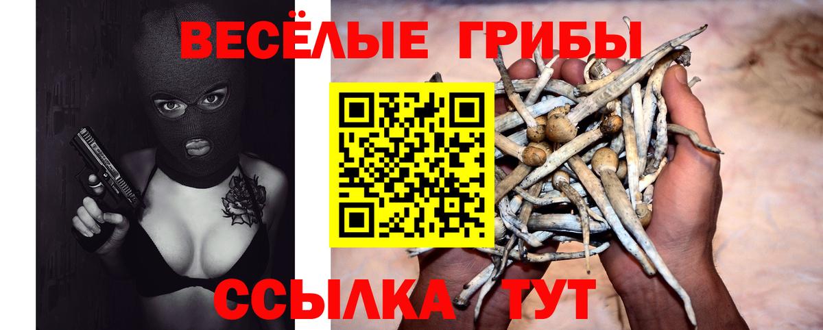Нововоронеж  Псилоцибиновые грибы Magic Shrooms  Галлюциногенные грибы Psilocybine cubensis  Вход с VPN 
